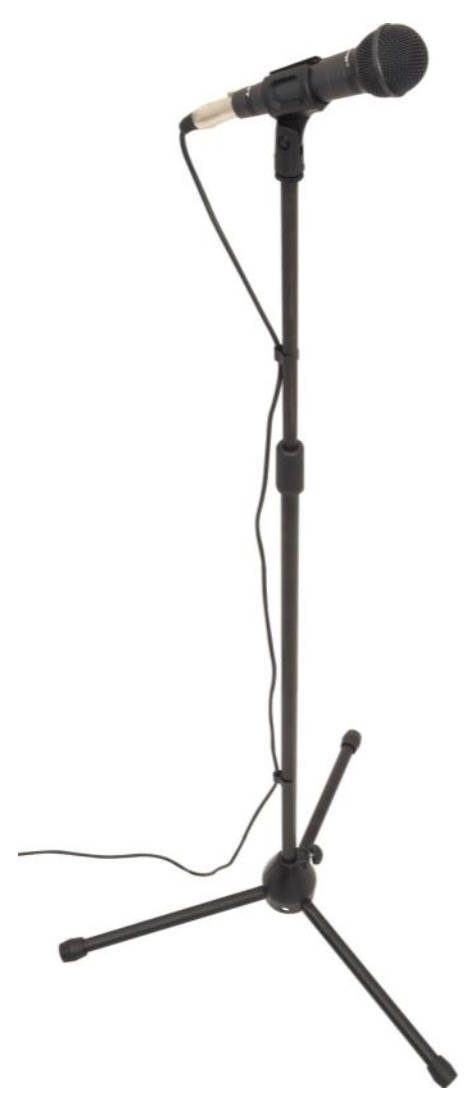 2021-elections-microphone